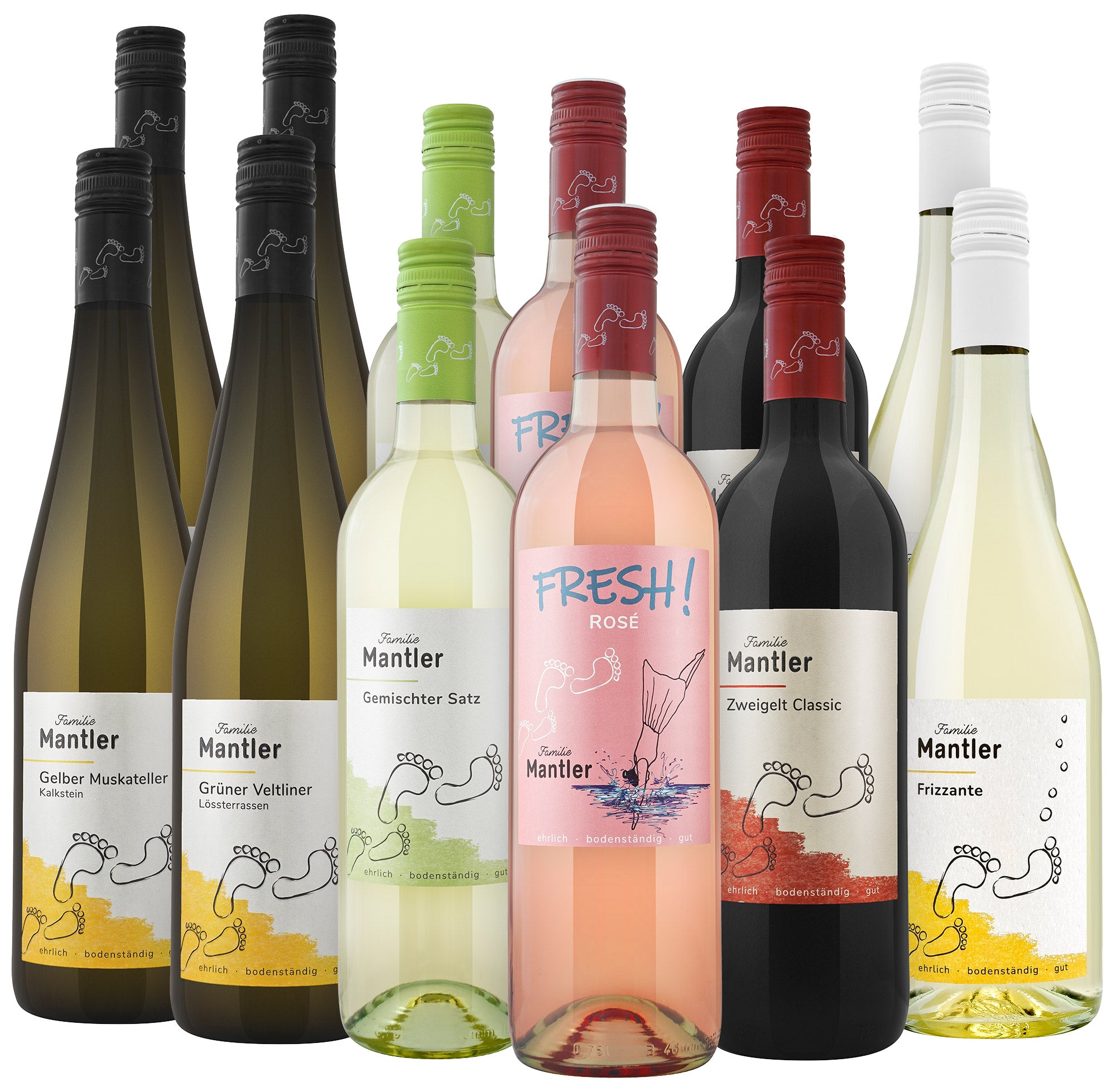 12er Frisch-Fruchtig-Paket